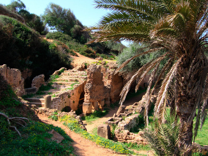 تيبازة