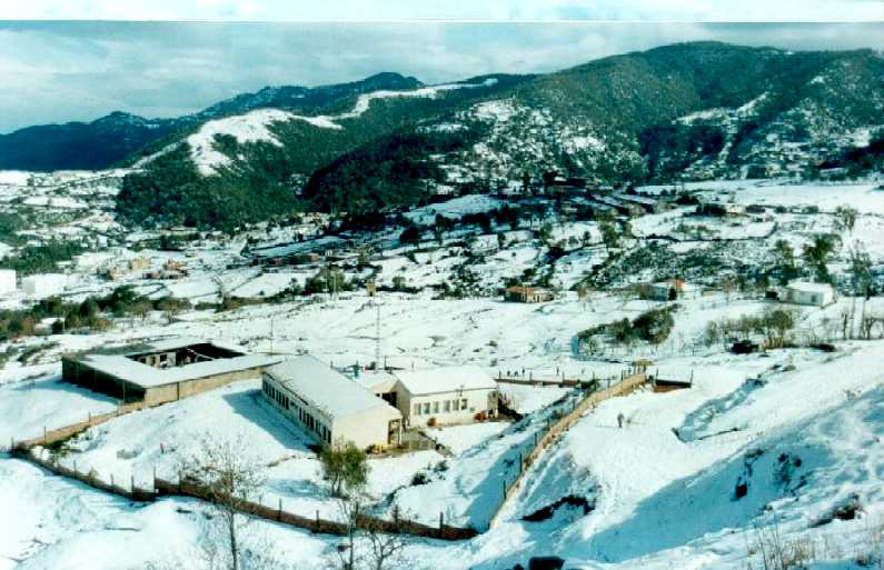 مدينة جيجل